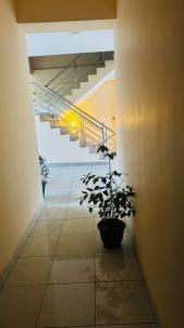 Fotografie z fotogalerie ubytování TASHINI Hotel v destinaci Kiribatkumbura