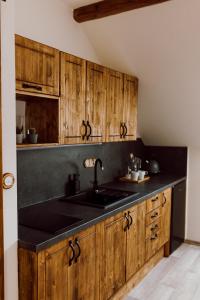Kuchyň nebo kuchyňský kout v ubytování Apartmány Lešovice