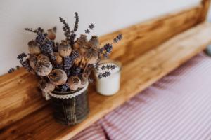 Fotografie z fotogalerie ubytování Apartmány Lešovice v destinaci Nečtiny
