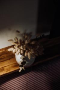 Fotografie z fotogalerie ubytování Apartmány Lešovice v destinaci Nečtiny
