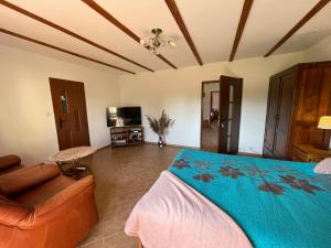 a living room with a bed and a couch at Domek w Las Bagnas in Konopki Małe
