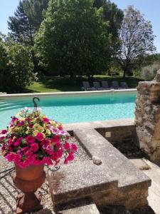 Bassein majutusasutuses Chambres d'hôtes Le Vignoble või selle lähedal