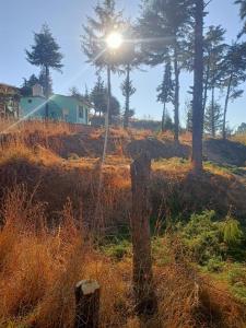 a house in a field with the sun shining through trees at Almora Nainital-Kausani Highway Kosi Bazar in Almora