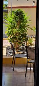 Ogród w obiekcie HATO Holiday Home Fuerteventura