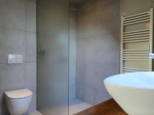 a bathroom with a shower and a toilet and a sink at Den Broecke Appartement in Bornerbroek