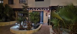 Zdjęcie z galerii obiektu HATO Holiday Home Fuerteventura w mieście Costa Calma