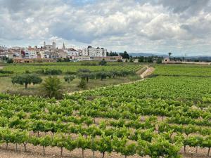 a field of crops with a town in the background at La Casita Soler The Soler Cottage in Arbós