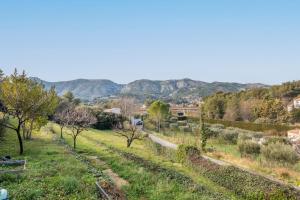 Příroda nedaleko vily