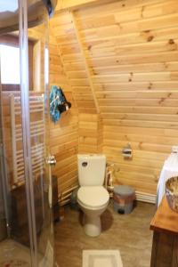アヴリグにあるCabana Armonia Naturiiのトイレと木製の壁のあるバスルーム +31枚の写真