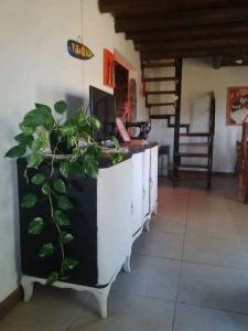 a room with a desk with a computer and a plant at Casa de campo y mar in Camet Norte