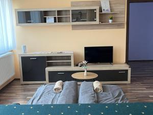 TV a/nebo společenská místnost v ubytování River - free parking