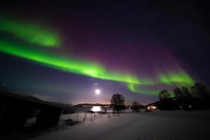an image of the northern lights in the sky at 3ART recreation in Tromsø