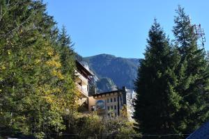 克尔茨什瓦拉乡Balea Teleferic的山前有树木的建筑