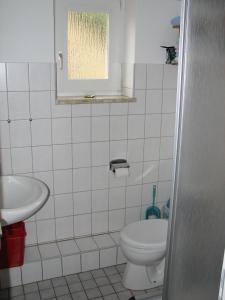 a bathroom with a toilet and a sink at Ferienwohnungen Langholz in Hohn