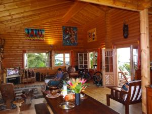 TV a/nebo společenská místnost v ubytování Le Chalet de la Fontaine Saint Leu