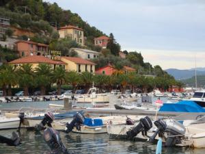 a bunch of boats are docked in a harbor at Hotel Della Baia in Portovenere