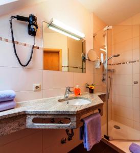 Afbeelding uit fotogalerij van Hotel Fischerhaus Garni in Meersburg