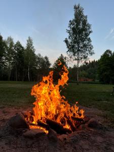 Fotografie z fotogalerie ubytování Dubinga River Valley House & SPA - FREE sauna v destinaci Kabakelis