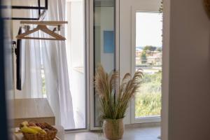 Fotografie z fotogalerie ubytování BellaVista v destinaci Cinisi