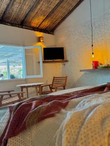 Et tv og/eller underholdning på Kokar Casa Hotel - Santo André