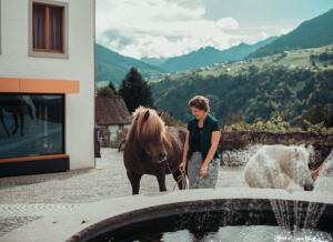 Altri animali domestici presso l'hotel o nei dintorni