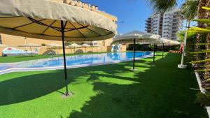 a swimming pool with umbrellas and green grass at Apartamento Magic World Neptuno in El Borseral