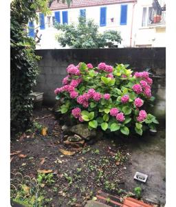 Billede fra billedgalleriet på Chez Miguel Angel i Bonneuil-sur-Marne