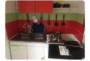 a kitchen with a sink and utensils on the wall at Chez Miguel Angel in Bonneuil-sur-Marne