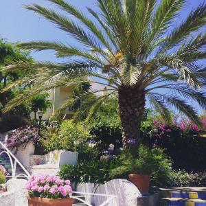 Aed väljaspool majutusasutust Paradiso Terme Resort & SPA con 5 piscine termali