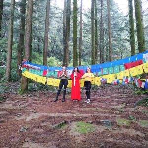 Gallery image of Om Yoga Ashram - 7 Days Yoga Meditation Retreat in Dharamshala