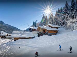 Το Chalet Timan - OVO Network τον χειμώνα