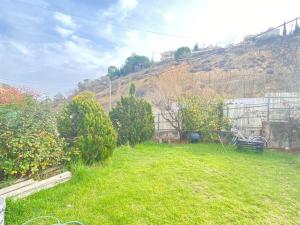 a yard with a hill in the background with a bench at Hermon Garden Apartment in Majdal Shams