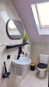 a bathroom with a sink and a mirror and a toilet at Dziki Szynk in Brenna +50 photos
