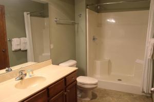 a bathroom with a sink and a toilet and a shower at 2 Bedroom Condo Duck Lake in Eagle River