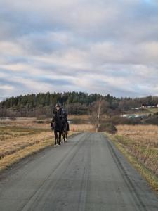 dos personas montando caballos por un camino de tierra en Trevligt fritidshus med underbar utsikt, en Gotemburgo