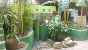a group of plants in front of a building at centro cultural da flor in Salvador