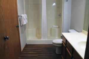 a bathroom with a toilet and a shower and a sink at Wild Eagle Lodge, 2 bedroom 2nd floor condo, #216 in Eagle River