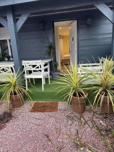 a patio with a table and potted plants in front of a house at Appartement F1 duplex rez de chaussée in Illkirch-Graffenstaden