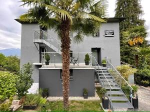 a palm tree in front of a house at CS Casa Serena in Vairano