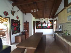 a kitchen with a counter and some towels on the wall at Casa Raul Borșa in Borsa