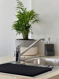 a kitchen sink with a faucet and a plant at Chill and Stay-Luxury Studio in Kato Paphos in Paphos City