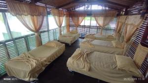 four beds in a room with windows at Alojamiento LETICIA in Leticia