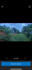 Fotografie z fotogalerie ubytování Spirit of the Wild Eco Village v destinaci Palakkad + 4 fotografie