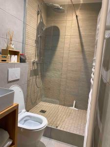 a bathroom with a shower and a toilet at Superbe appartement quartier latin in Paris +18 photos
