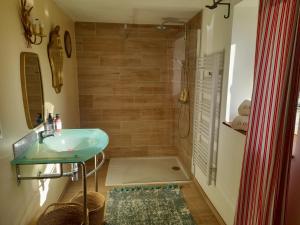 a bathroom with a sink and a shower at Le cottage in Crozon