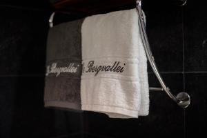 a towel hanging on a towel rack in a bathroom at B&B De Bergvallei in Oedelem +46 photos