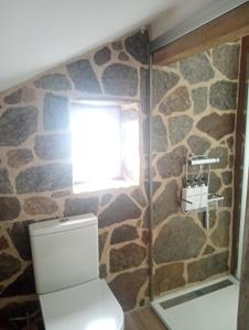 a bathroom with a toilet and a stone wall at El Naranjo in Padrón