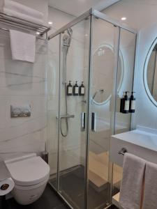 a bathroom with a shower and a toilet at RIJJI HOTEL ISTANBUL OLD CiTY in Istanbul +36 photos