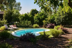 a swimming pool in a garden with a table and a chair at Casa de Louredo in Paredes