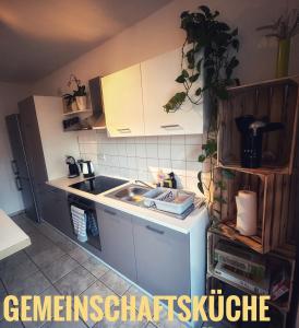 una cucina con lavandino e piano di lavoro di Quartier 3punkt0 alte Steigerbaude a Bad Gottleuba-Berggiesshübel